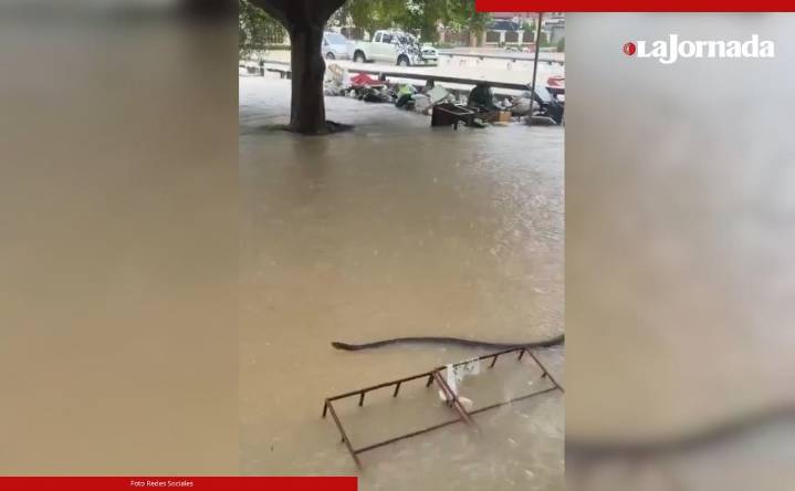 Inundaciones deja al menos 33 muertos en el sur de Tailandia