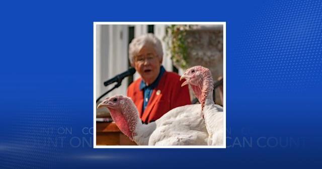 Alabama turkeys need names: Help Governor Ivey decide