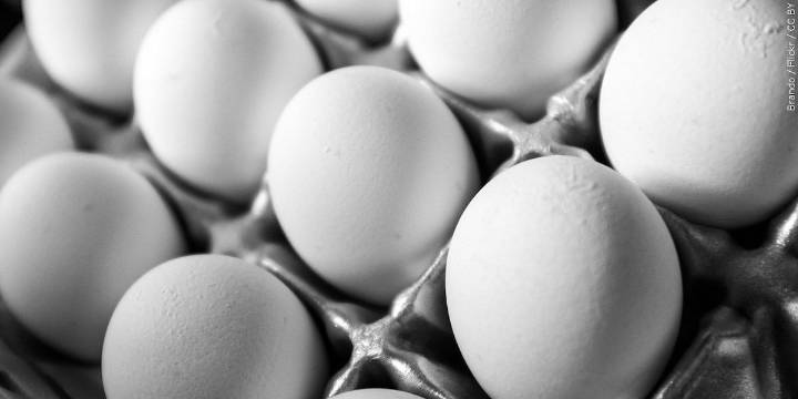 Price Chopper offering discounts through Saturday