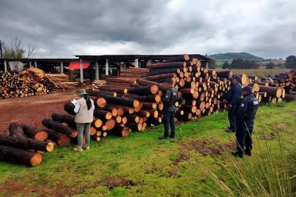 Diputados endurecen sanciones por delitos ambientales