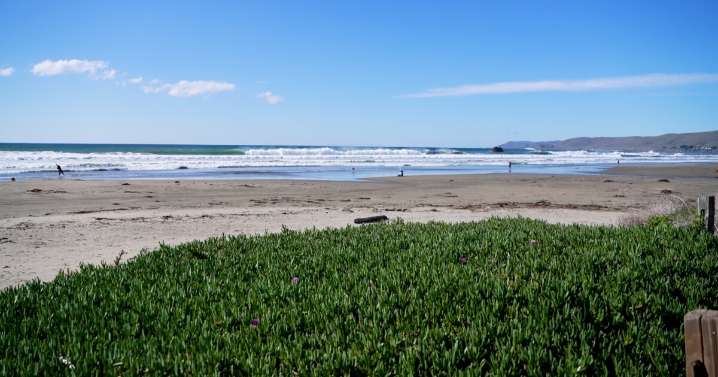 State and local representatives speak out against offshore oil drilling proposal