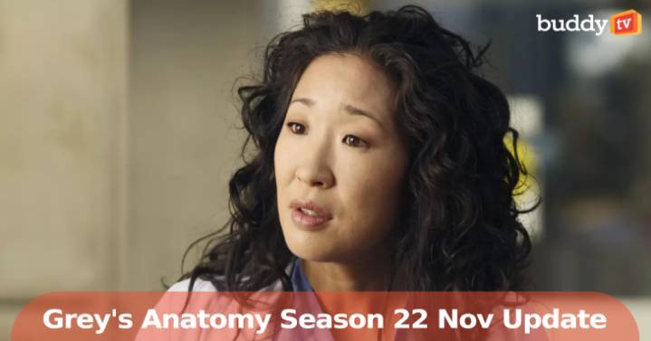 Grey’s Anatomy Season 22: Sophia Bush’s Cass Shakes Up Teddy