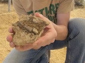 Un adolescente descubrió restos de un dinosaurio de 150 millones de años durante un proyecto escolar: "Estaba muy emocionado"