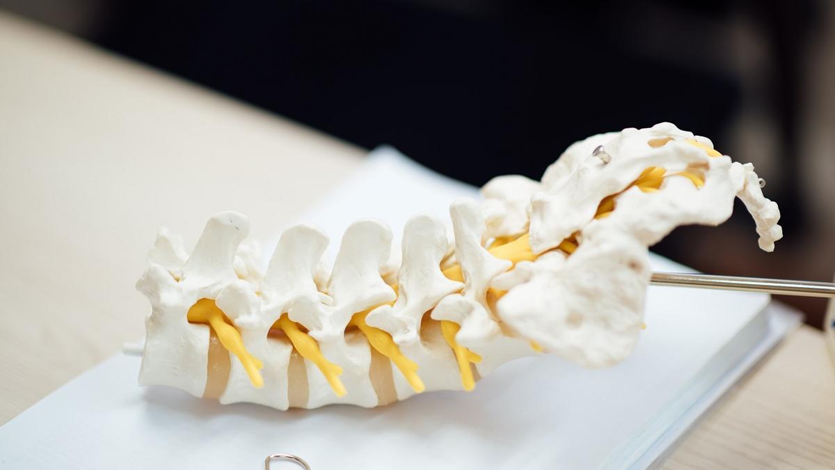 Agravantes del lumbago: cómo podemos minimizar el riesgo y por qué es malo guardar reposo