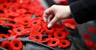 The Latest: Canadians honour those who lived and died in the country's service
