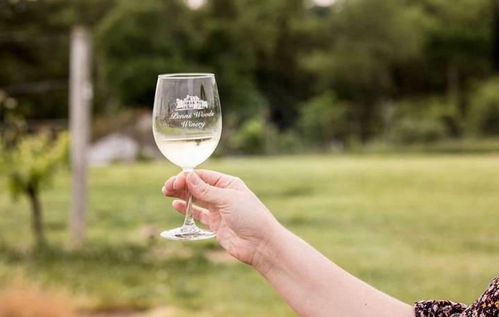 East Coast red wines for Thanksgiving 2025: One expert's top picks