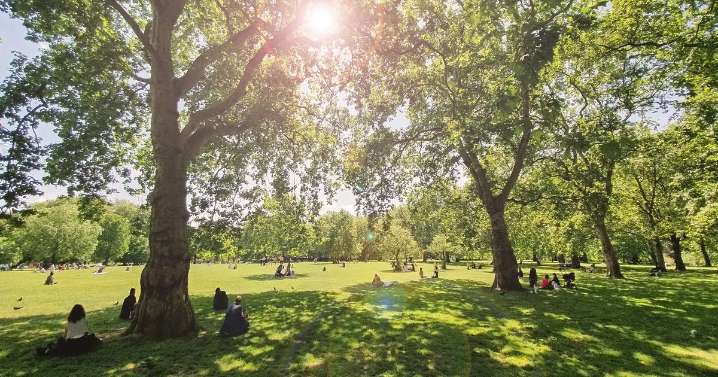 Britain is becoming a more green and pleasant land