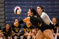 VHSL volleyball: 8 area girls and boys teams are set for state semifinals