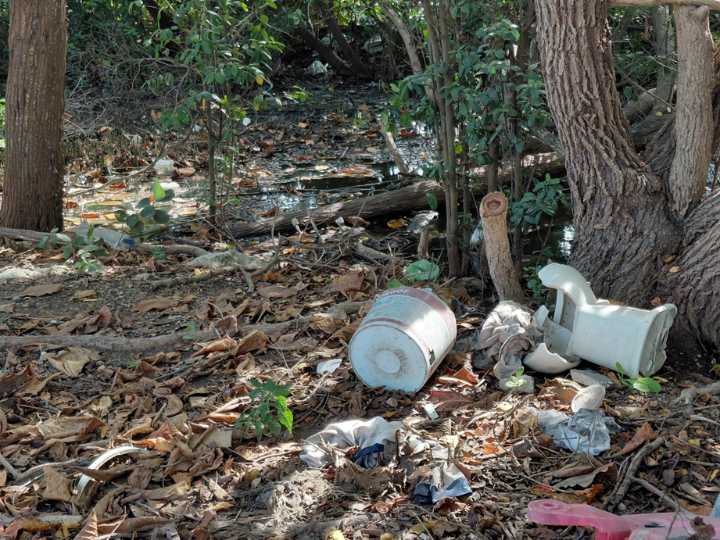Basura invade manglares de Progreso