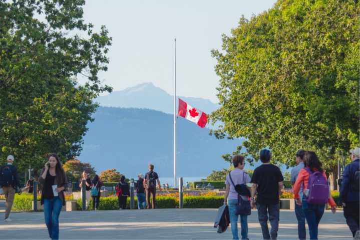 Canada slashes number of new international students by 60%
