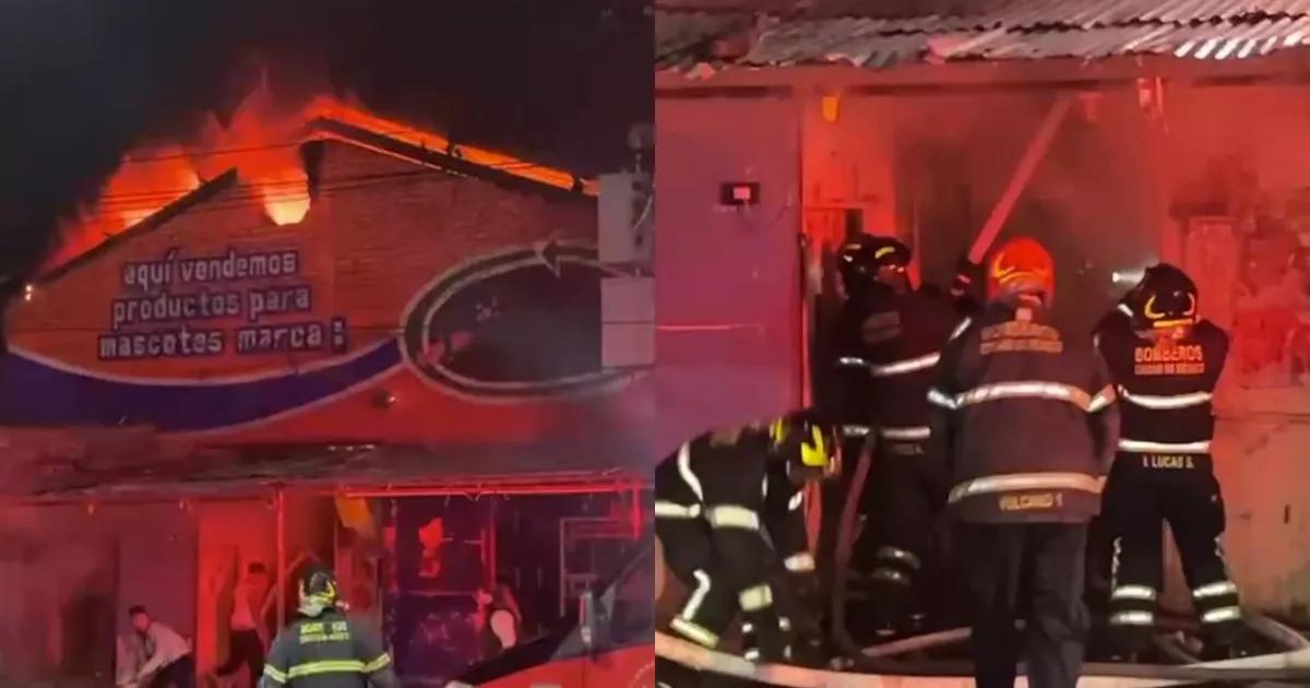 ¡Héroe entre las llamas! Rescatan a dos gatitos durante incendio en bodega de mascotas en Morelos, CDMX