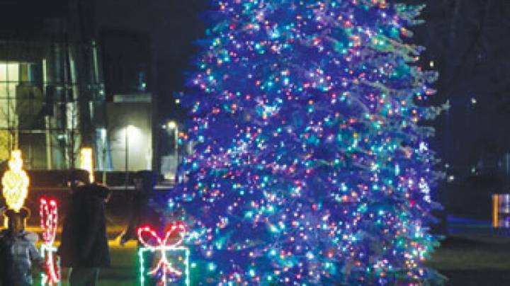 Southfield and Lathrup Village host annual tree lightings