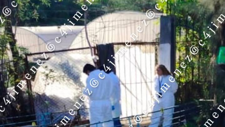 Asesinan a golpes a una mujer en Xochimilco, CdMx