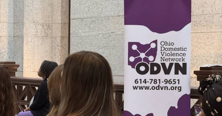 New domestic violence health care standards proposed under recent Ohio bill