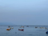 Arranca la edición 18 del Torneo de Pesca en Playa Los Muertos con más de 100 embarcaciones