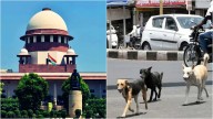 Supreme Court Pulls Up States For Ignoring Orders On Stray Dog Management, Hearing Scheduled For November 3