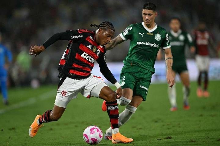 Por el título. Palmeiras vs. Flamengo, por la final de la Copa Libertadores 2025: día, horario, TV y cómo ver online