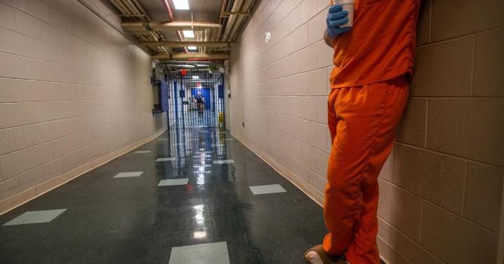 Report: Nelson inmates entering regional jail up 21% over decade