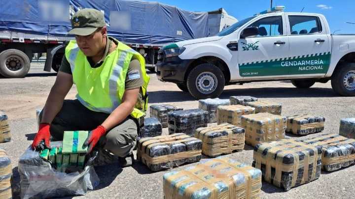 Interceptaron en San Juan un camión con más de 300 kilos de hojas de coca