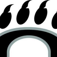 Bears dial up pressure on defense, hand Seahawks first loss to reach 3A semifinals