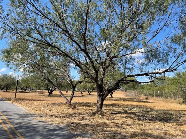 Realizan Limpieza en el Parque Cultural; Corredores y Visitantes Celebran las Mejoras