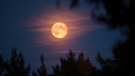 November’s full ‘beaver’ moon will be a special supermoon