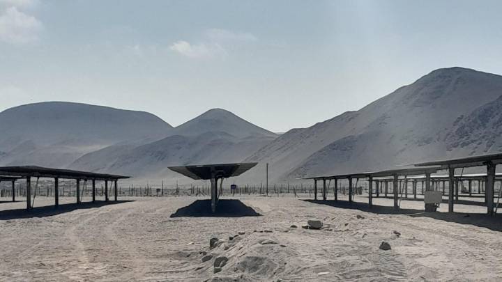 SMA formula cargos contra proyecto energético en Arica: Incumplieron plan de rescate y relocalización de reptiles