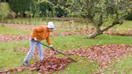 The Effective Method That Makes Raking Leaves A Total Breeze