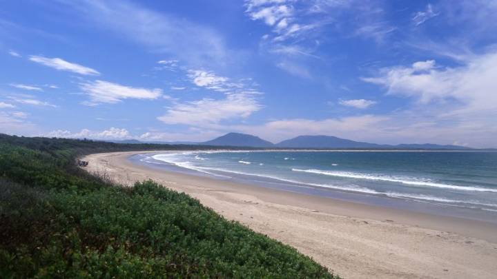 Tourist dies after being bitten by shark in Australia