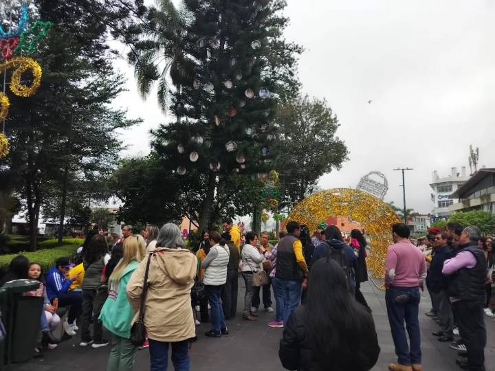 Colectivos colocan el “Árbol de la Esperanza” en Xalapa