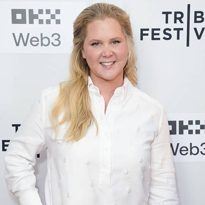 Amy Schumer Deletes Her Pre-Weight Loss Instagram Pics 