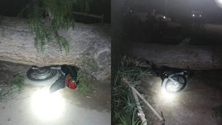 Por el viento, un árbol cayó encima de una moto y casi termina en tragedia