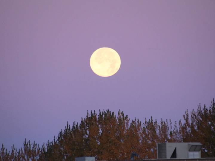 Super Beaver Moon to light up our Westman skies