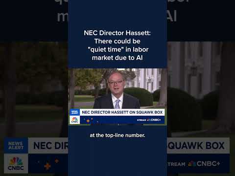NEC Director Hassett: There could be 'quiet time' in labor market due to AI
