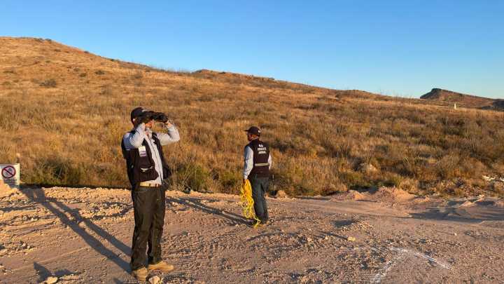 Atiende Municipio reporte de jaurías 