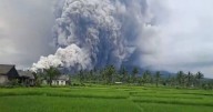 Volcano erupts in Indonesia with terrifying 800m ash cloud that send thousands fleeing