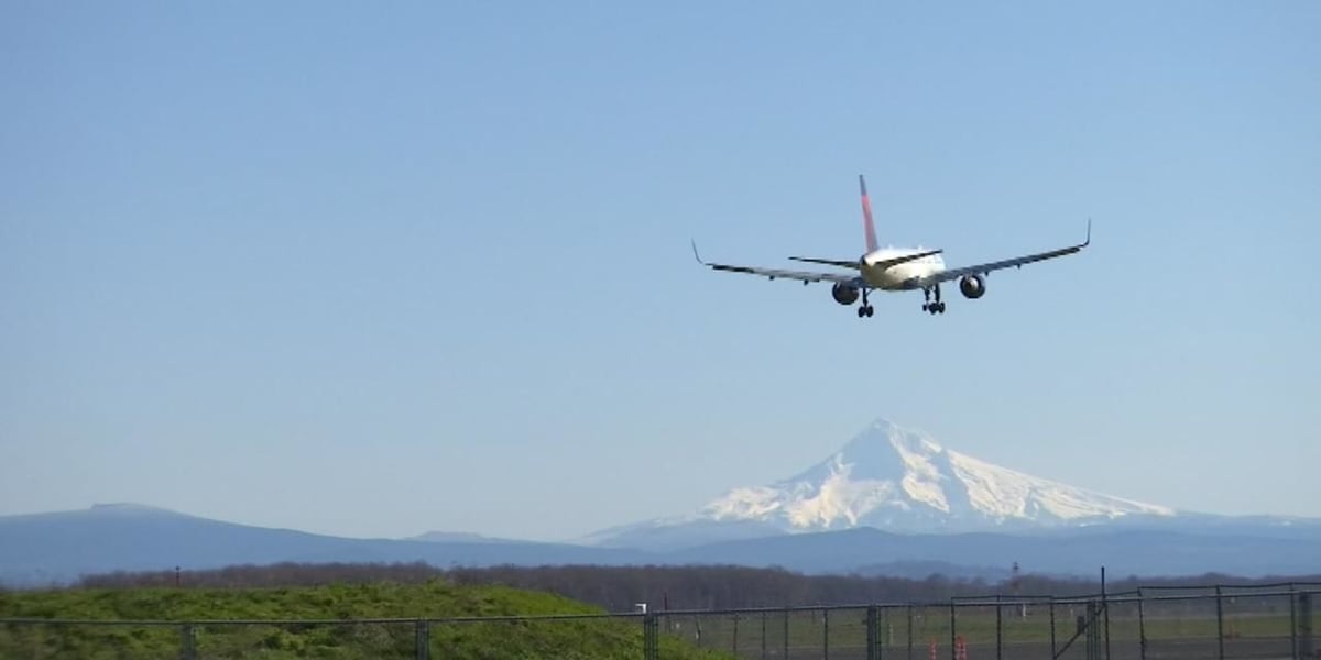 ‘Domino effect’: Travel agent, former PDX air traffic controller weighs in on flight reductions