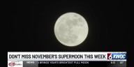 Super beaver moon