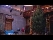 Biltmore Kicks Off Holiday Season with 35-Foot Christmas Tree Raising