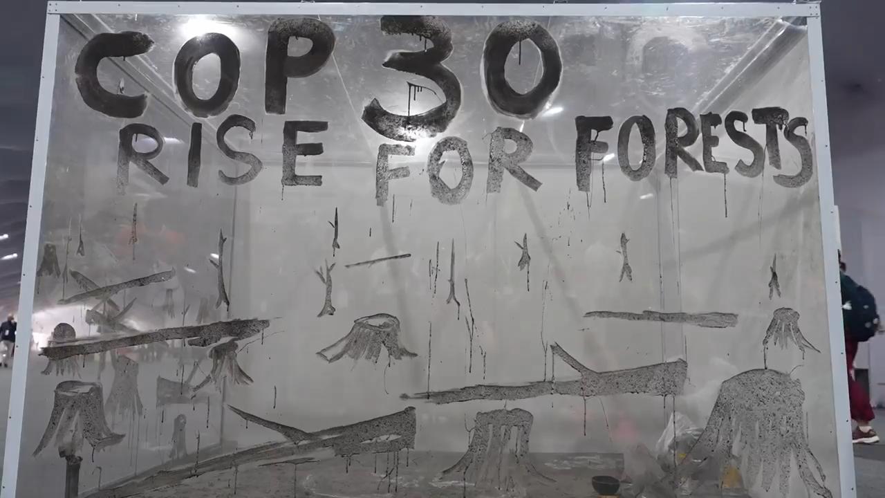 Ashes of the Forest calls for bold action at COP30