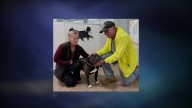 'A little bittersweet': Dog with RISPCA for two-and