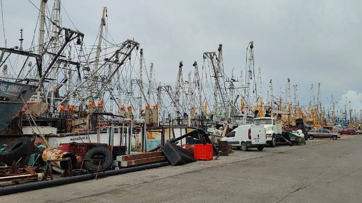 Armadores piden apoyo federal para retirar embarcaciones ante crisis camaronera