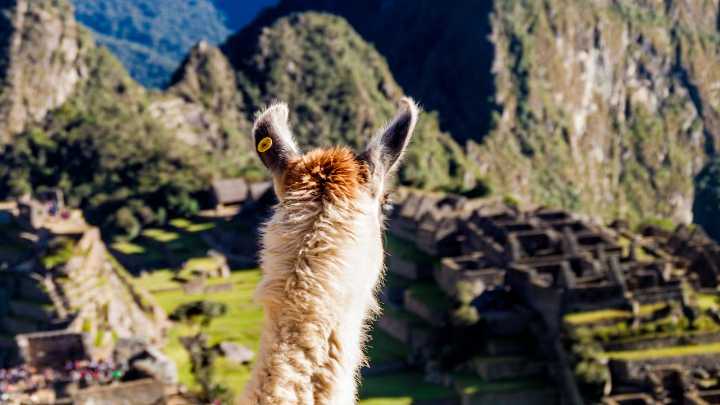 Las Ciudades Más Antiguas: Un Viaje a la Fascinante Raíz de América Latina