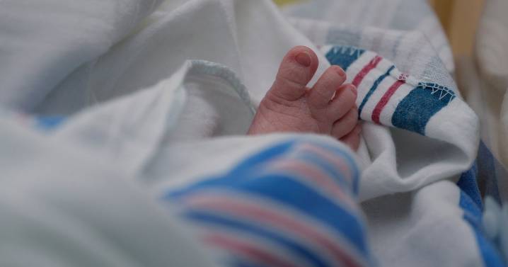 4 sets of twins born in 1 week at Pennsylvania hospital