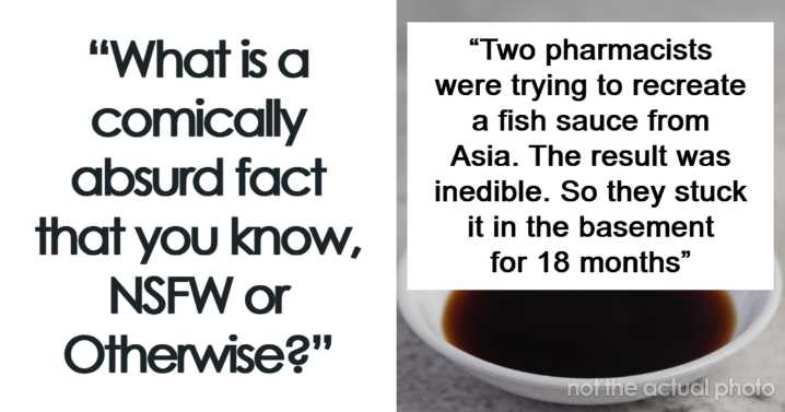People Share 36 Facts That Completely Changed How They Think About, Well, Everything