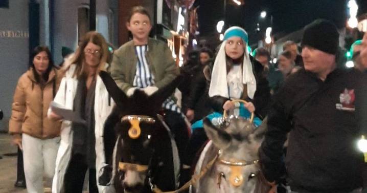 Unholy uproar over donkeys leads to fears for future of Christmas Nativity event