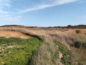 La Junta adquiere terrenos en la Laguna de Camuñas para impulsar su restauración ambiental