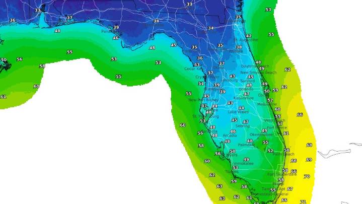 Florida freeze, weather forecast. How low will temps go?
