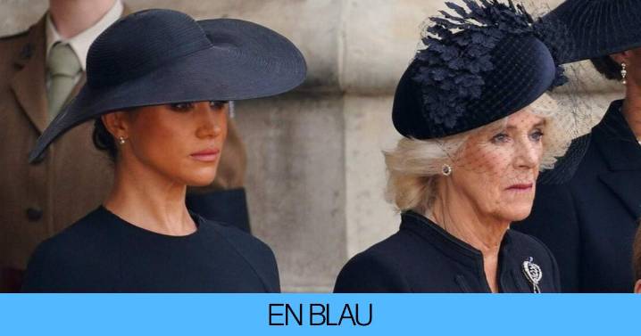 Meghan Markle explica que Carlos III e Isabel II conocían y consentían las depravaciones de Andrés