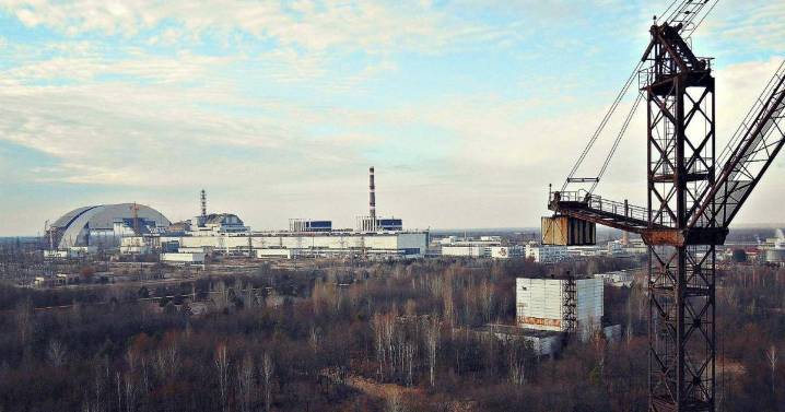 Chernobyl and its wildlife
